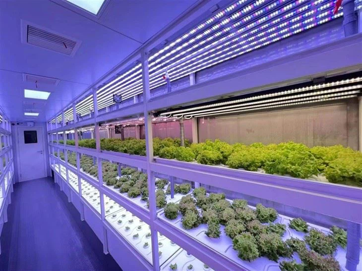 Automatic 40ft Green Mobile Planting Container Factory