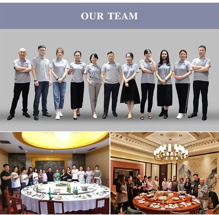 OUR TEAM OUR TEAM